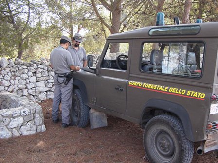 Denunciati nel Salento tre cacciatori. Avrebbero sparato a tortore protette