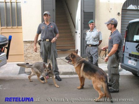 Nella casa con 2mila piante di marijuana. Sequestrata «la fabbrica della droga»