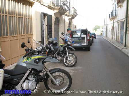 Nella casa con 2mila piante di marijuana. Sequestrata «la fabbrica della droga»