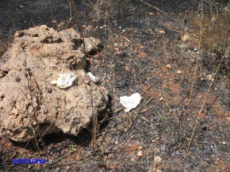 Va in campagna per bruciare le stoppie e muore carbonizzato avvolto dalle fiamme