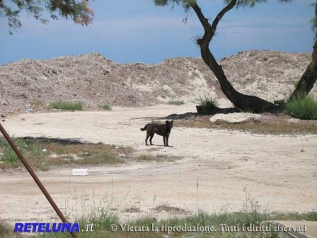 L'Ostello della Gioventù, poi le alghe maleodoranti. Inaugurazione e sequestro