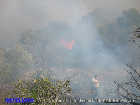 Maxi incendio a Villaggio Santa Rita. Forze impegnate da tutto il Salento