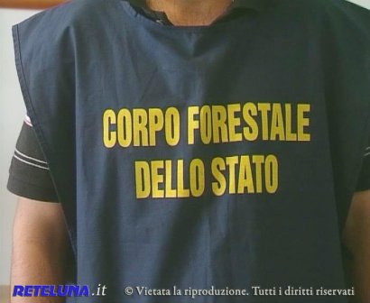 Sottoprodotti di origine animale, sei ordinanze di arresto per traffico illecito