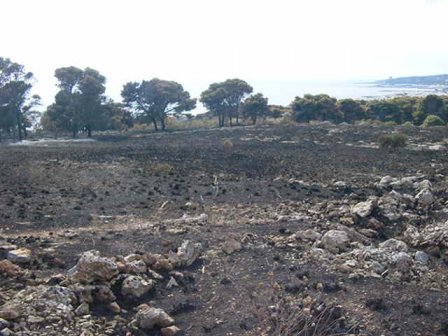 Ipotesi di incendio doloso per «La Reggia» tra Santa Maria al Bagno e Galatone