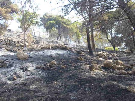 Ipotesi di incendio doloso per «La Reggia» tra Santa Maria al Bagno e Galatone