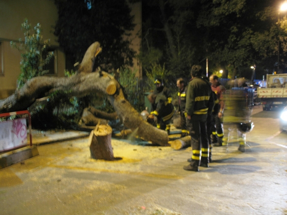 Pino cade su due ragazzi nella notte.