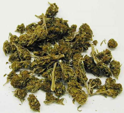 18enne con due involucri di marijuana.