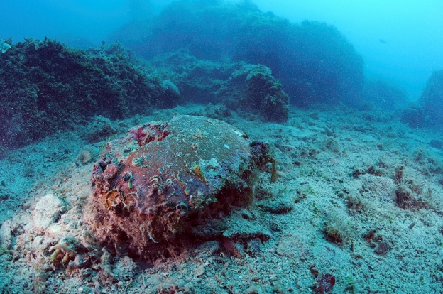 Scoperto relitto di una nave greca del III secolo a.C.