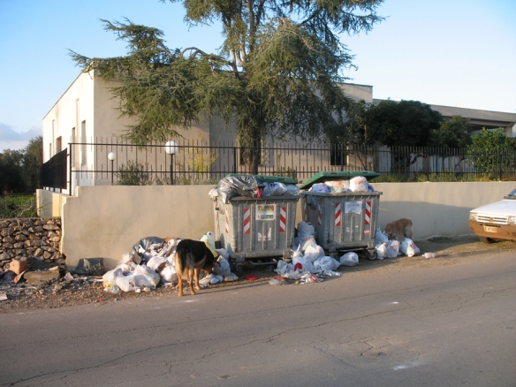 Cassonetti stracolmi nel Salento.