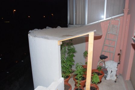 «Mini serra» sul balcone per coltivare marijuana, arrestato un 24enne leccese