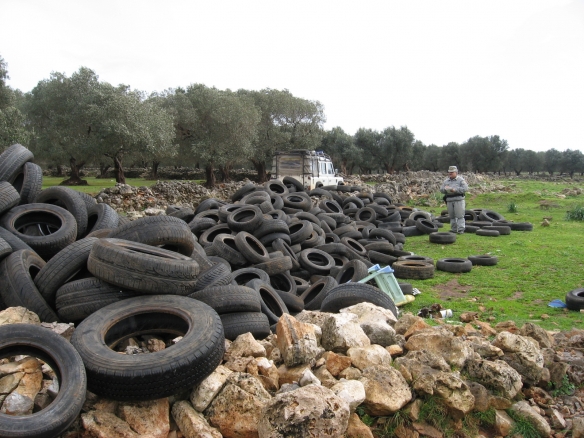 Mille pneumatici abbandonati in campagna.