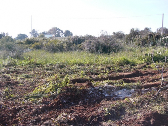 Avevano il permesso per costruire una casa rurale.