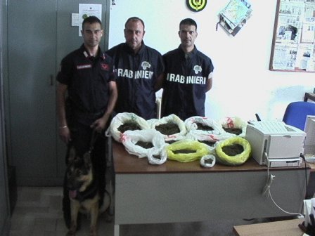 Sannicola, arrestati marito e moglie con la droga in casa. Ne avevano ben 3,2 chili