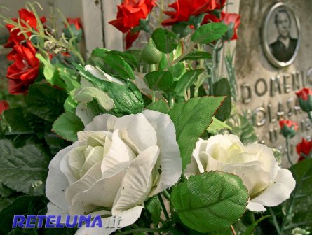 Rubava fiori dalle lapidi cimiteriali dei vicini di loculo. 60enne di Salve denunciata