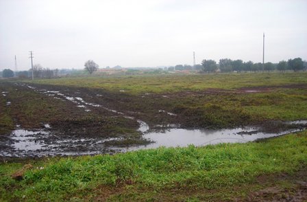 Getta 18mila litri di liquami in un uliveto di Nardò. Denunciata titolare di una ditta