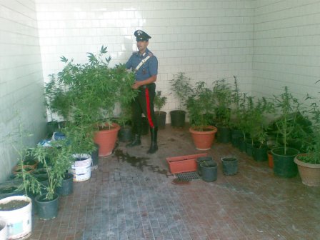 Marijuana e sciabole nel cortile di casa. Arrestato un uomo di 41 anni di Tricase